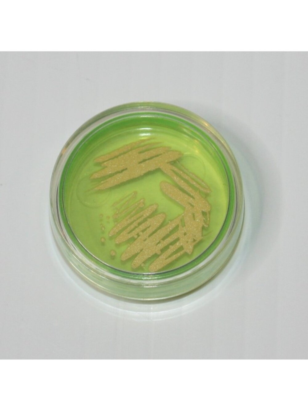 American Girl GOTY 2018 Luciana Pretend Green Petri Dish from Mars Habitat